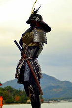 Load image into Gallery viewer, LNS Samurai Warrior Boards
